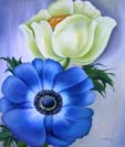 Annemone Wei und Blau